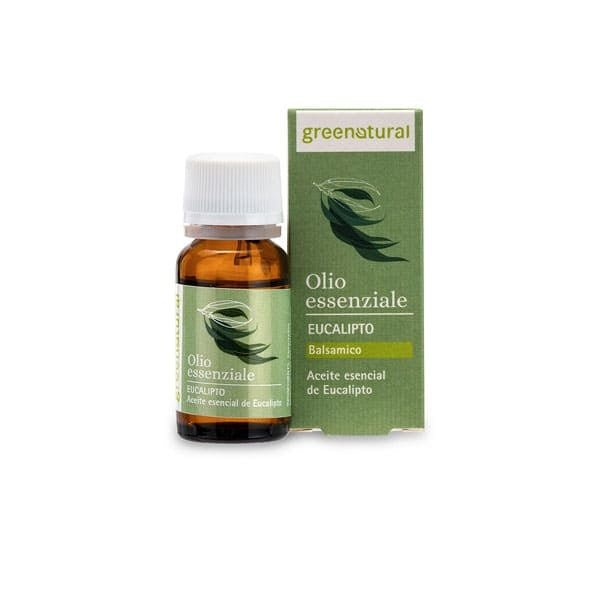 Ätherisches Öl Eukalyptus 10 ml - haushaltsreinigo.shop