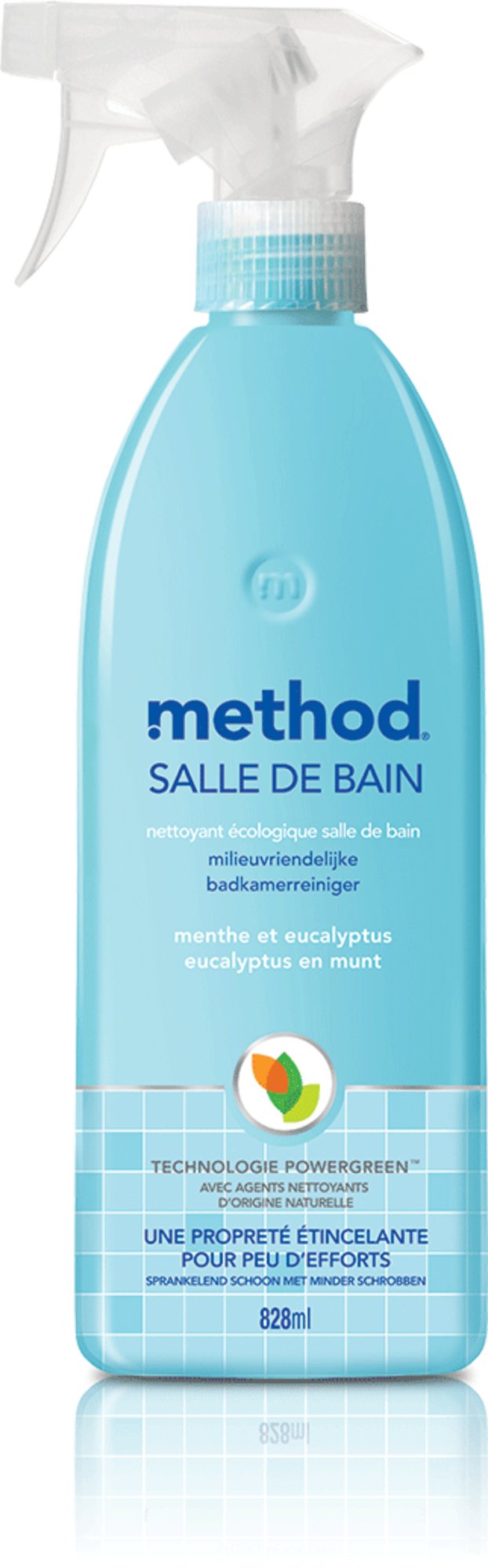 Bad - Reiniger Eukalyptus Mint - haushaltsreinigo.shop