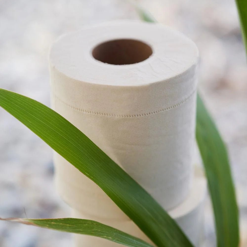 Bambus Toilettenpapier 3 - lagig - haushaltsreinigo.shop