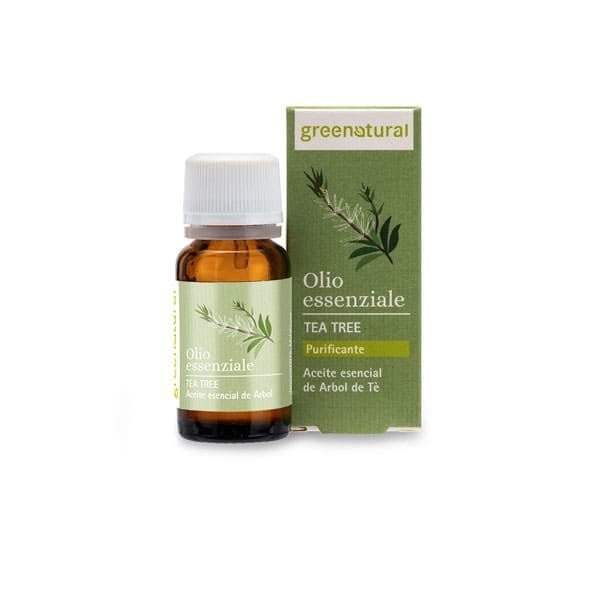 Ätherisches Öl Teebaum 10 ml - haushaltsreinigo.shop