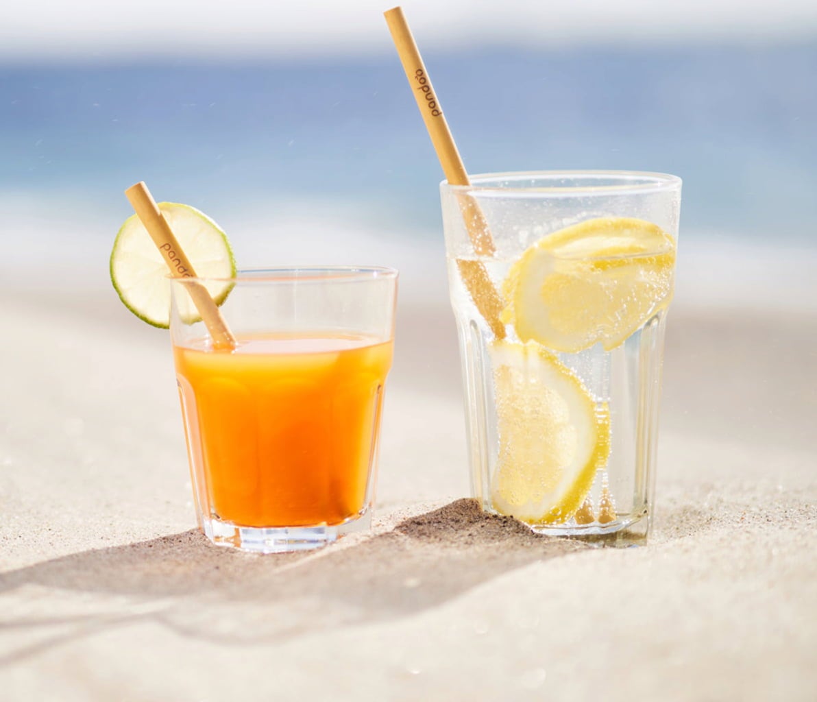 Cocktail Strohhalme aus Bambus, 12er Set inkl Reinigungsbürste - haushaltsreinigo.shop