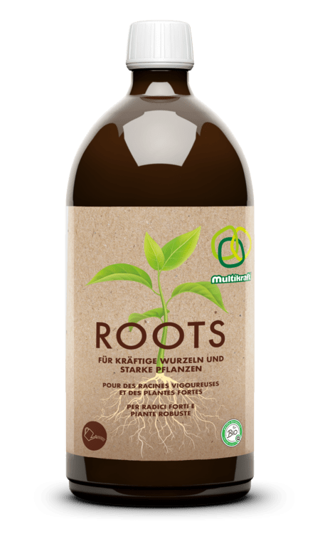 Roots - haushaltsreinigo.shop