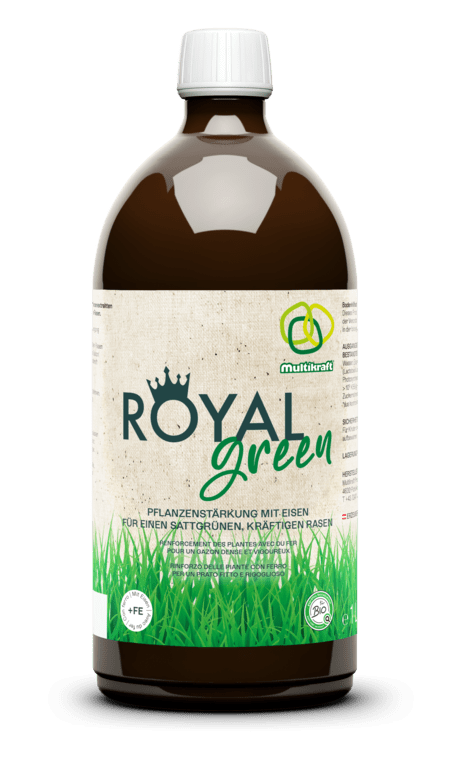 Royal Green 1 Liter - haushaltsreinigo.shop