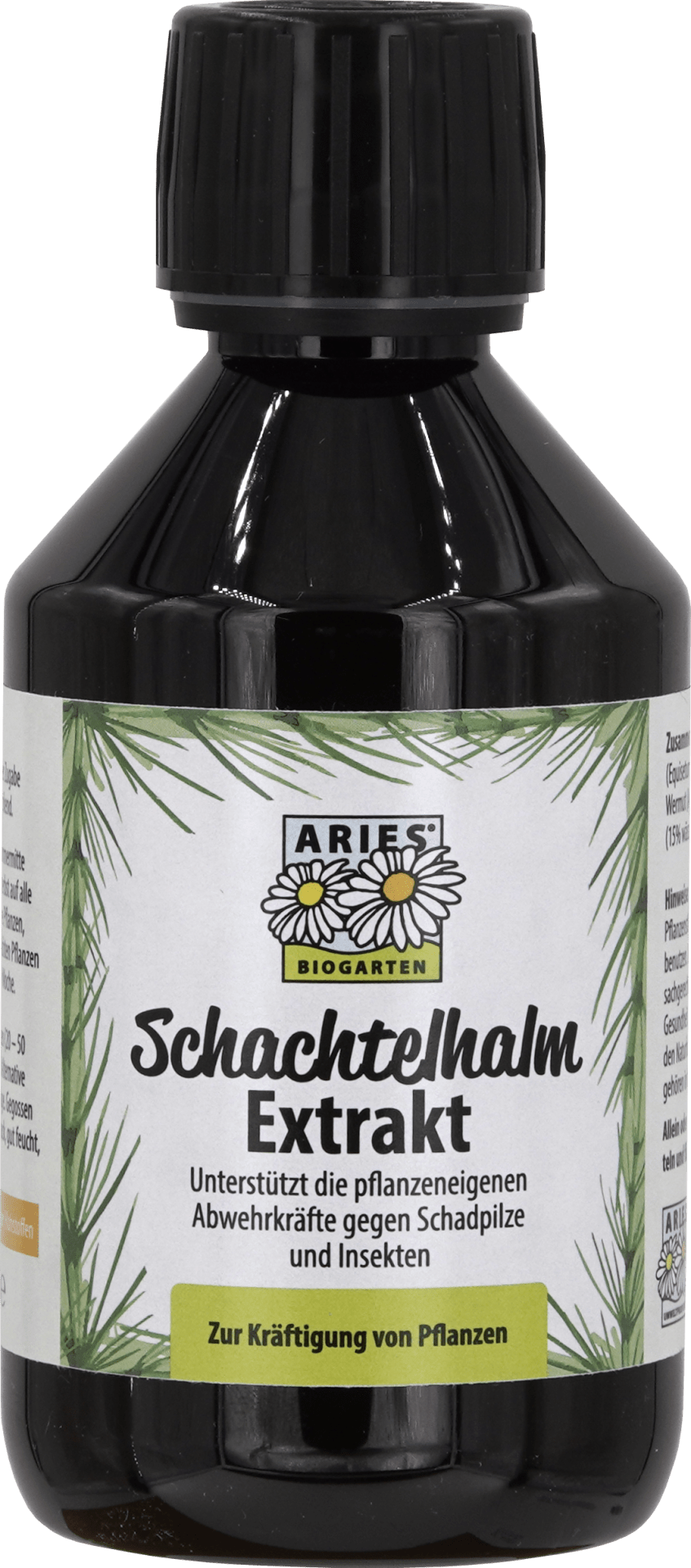 Schachtelhalm Extrakt - haushaltsreinigo.shop