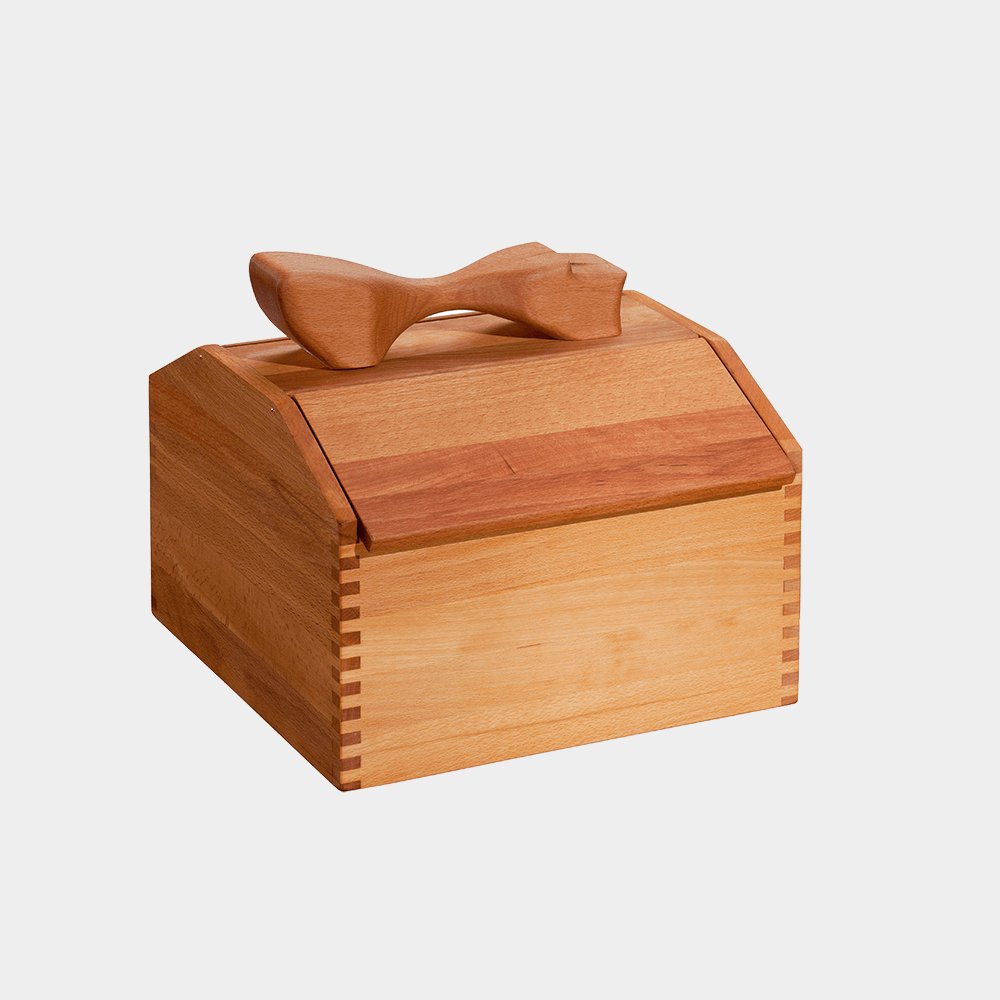 Schuhputzkiste aus geöltem Buchenholz - haushaltsreinigo.shop